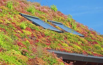 Easthorpe living roof systems
