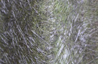 Easthorpe fibreglass roof work